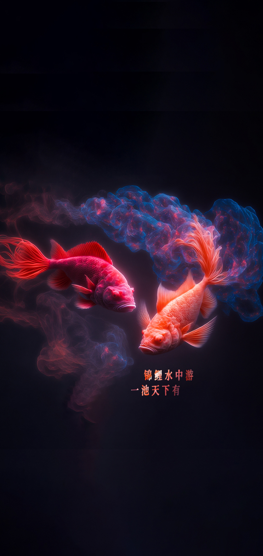 好運錦鯉