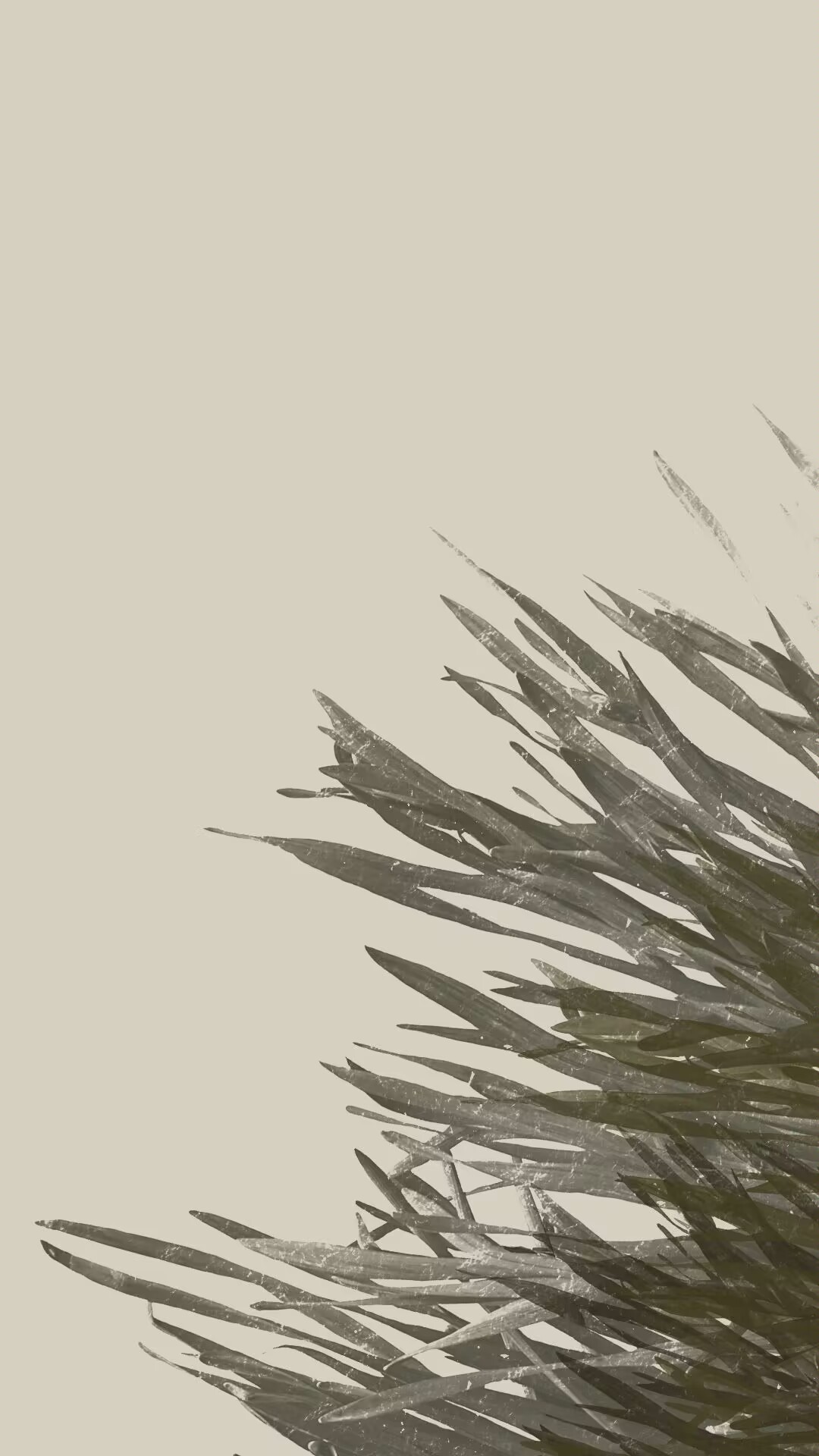 草