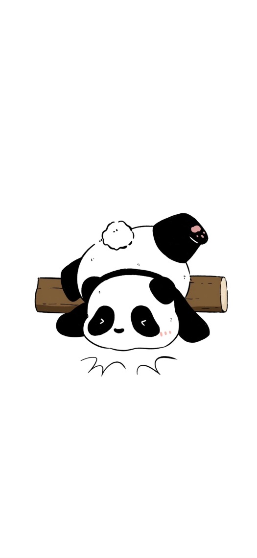 可爱熊猫