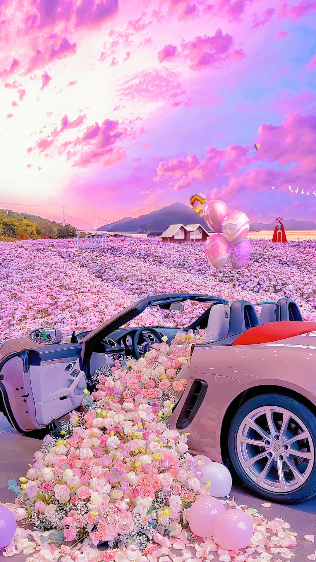唯美小雛菊花海浪漫車
