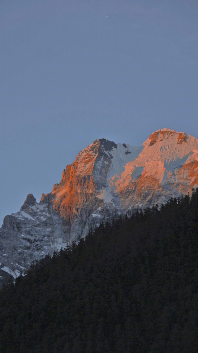 山