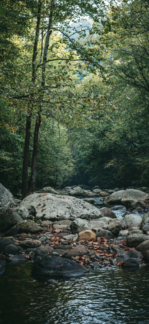 美觀小河