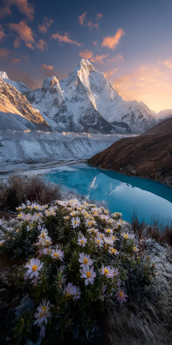 雪山湖畔花正开