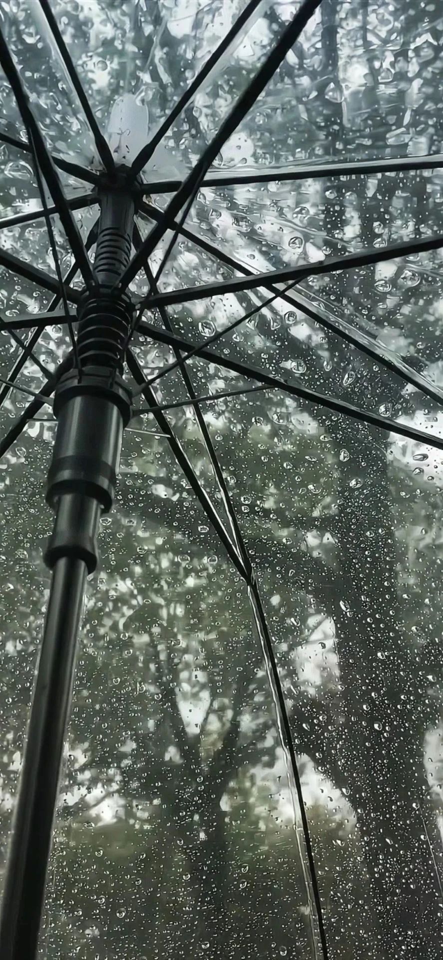 雨傘