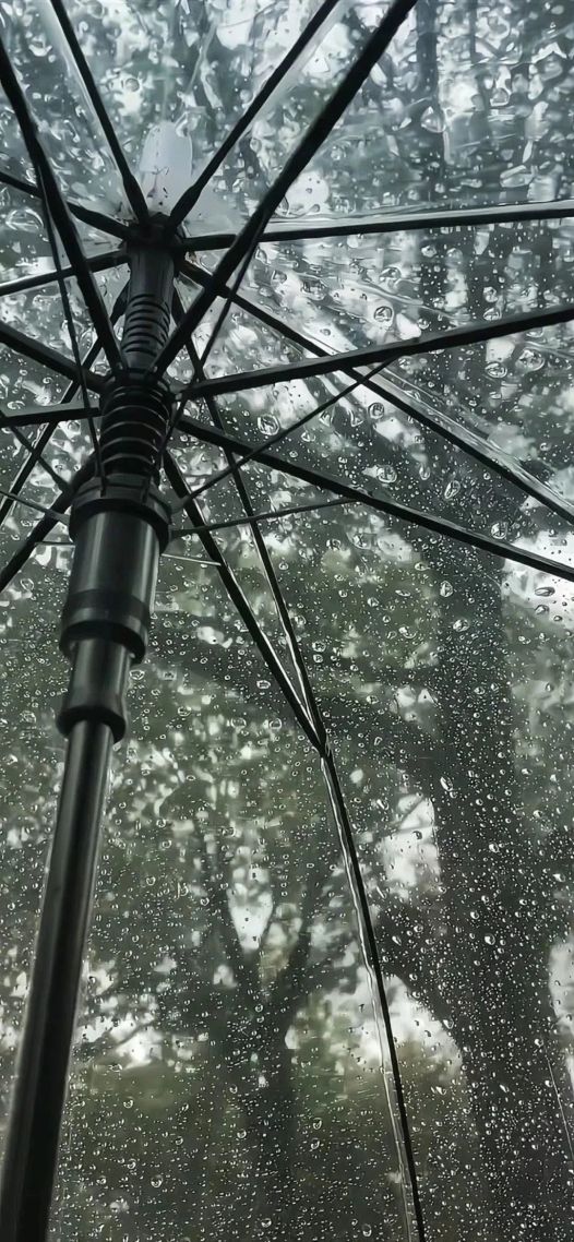 雨傘