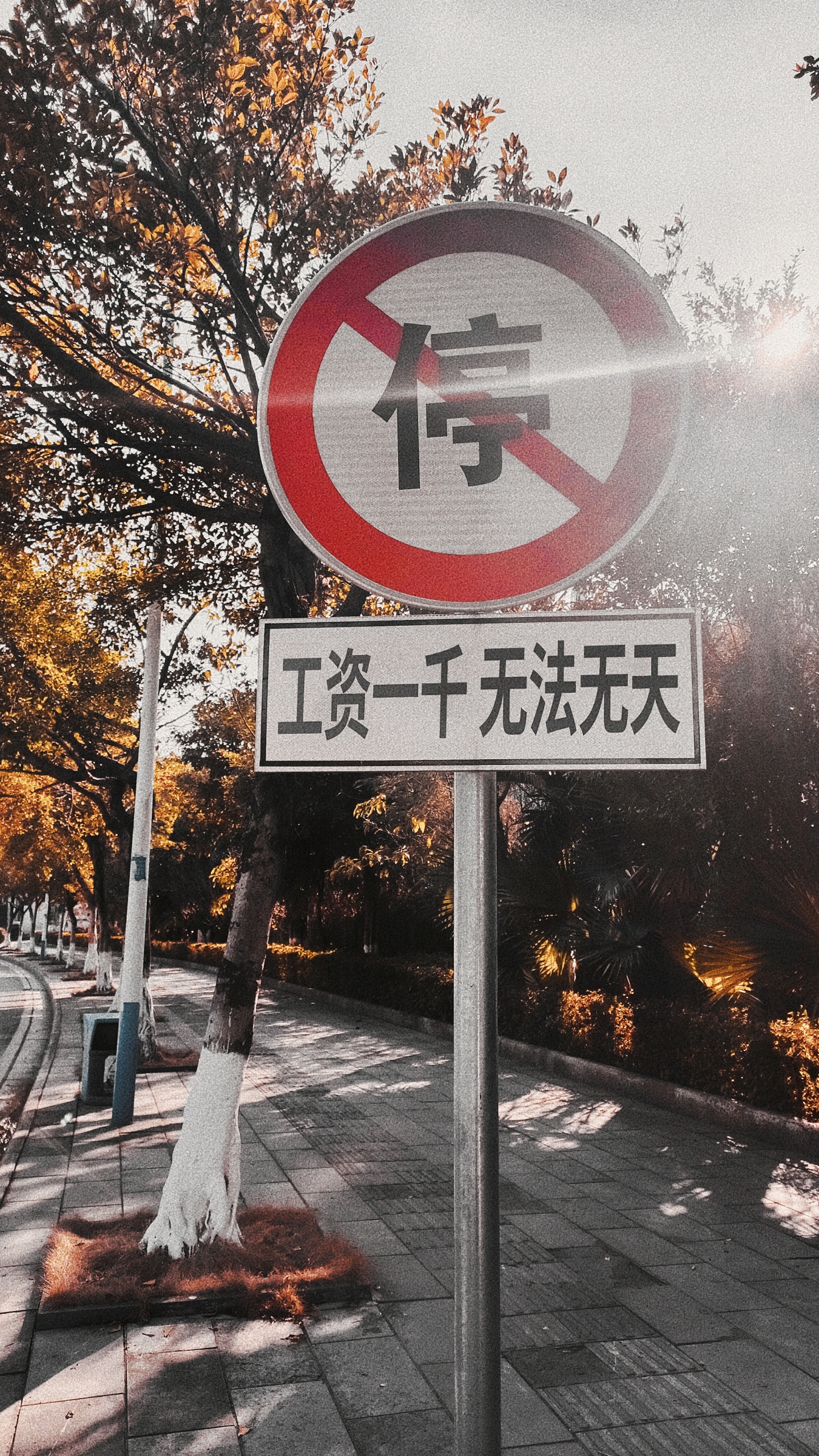 工資一千，無法無天