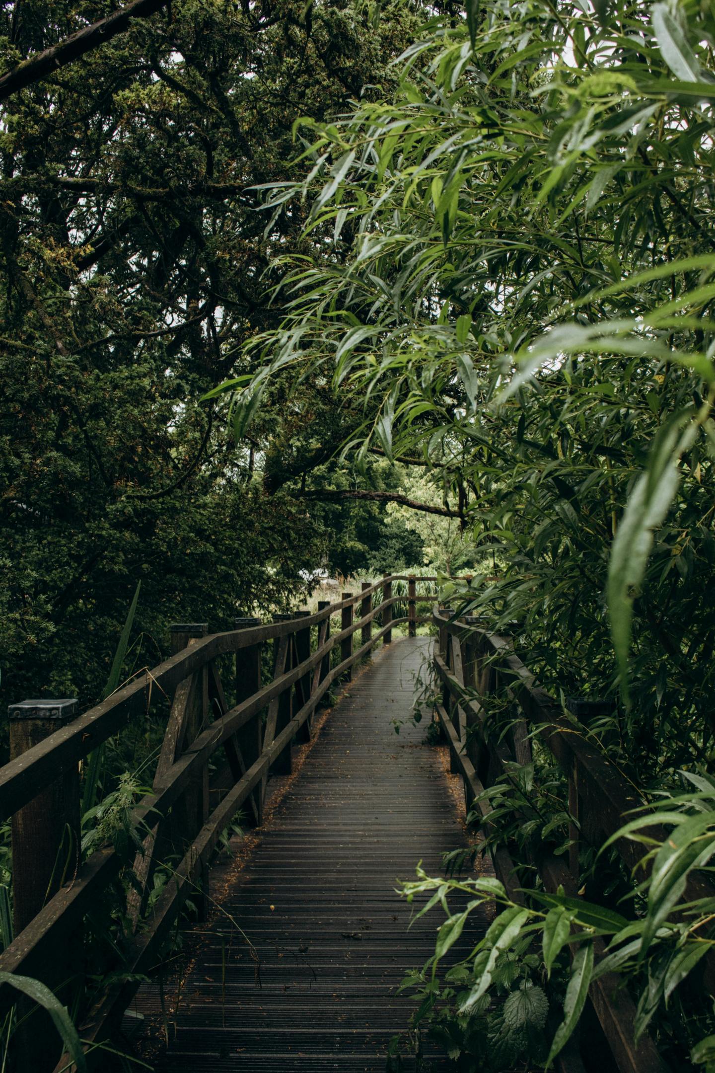 大自然 自然护眼风景