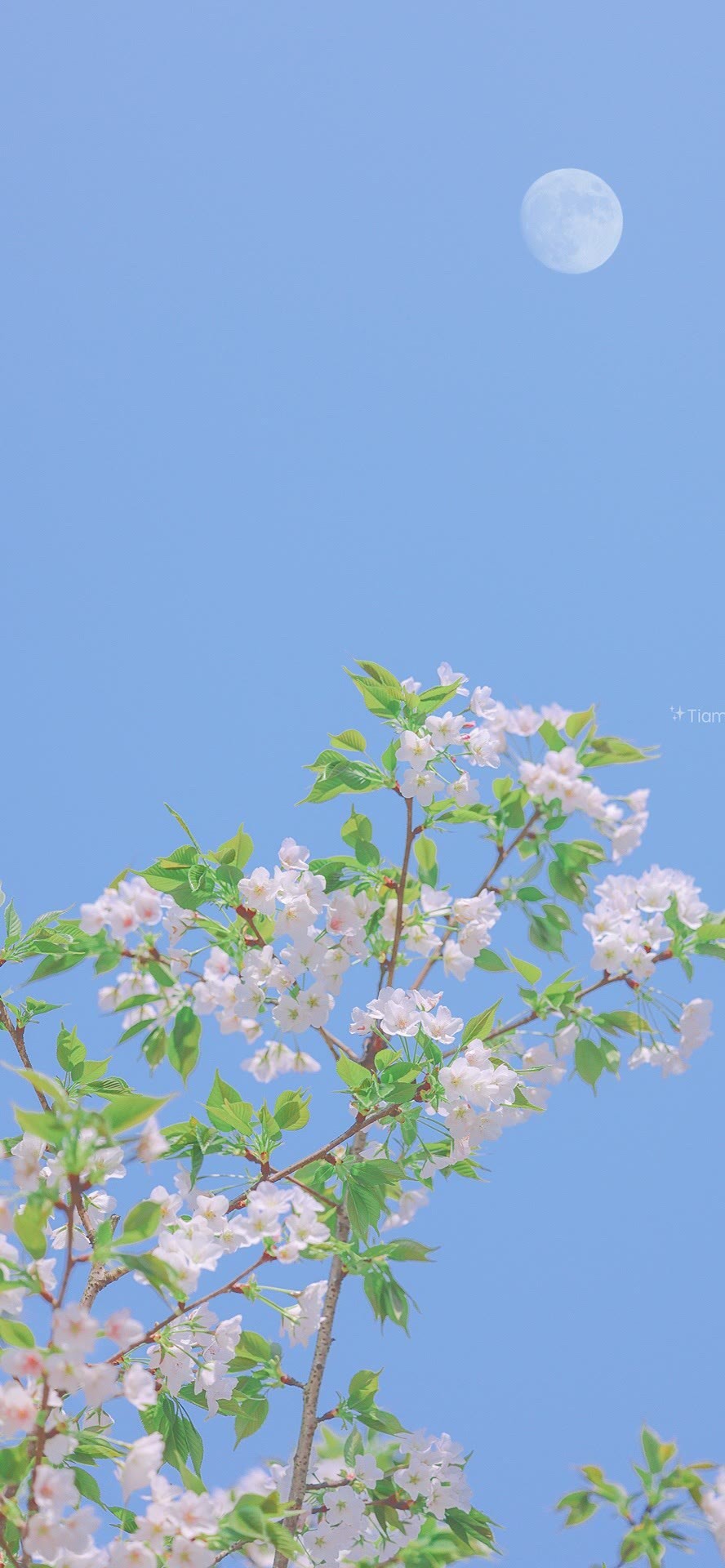 春天的氣息撲面而來