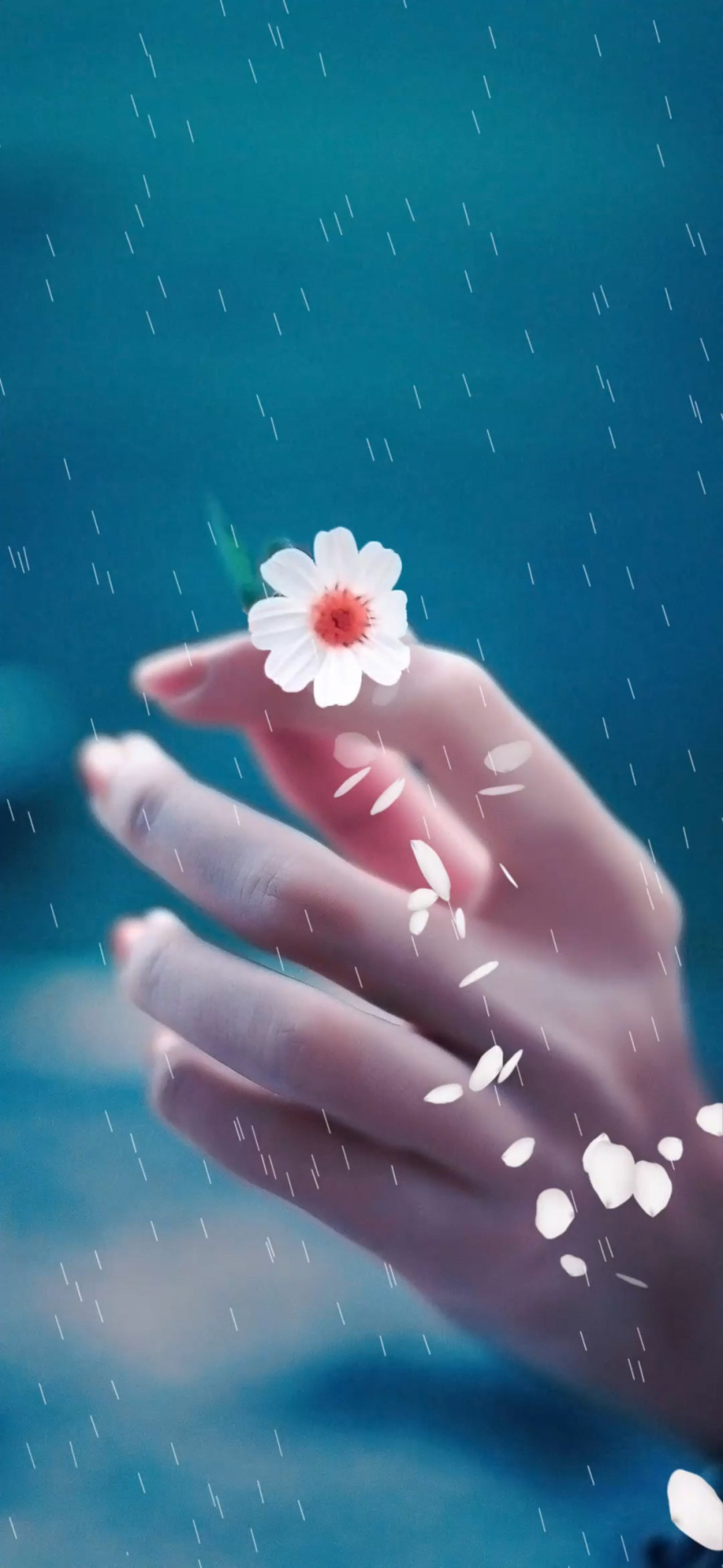 落花