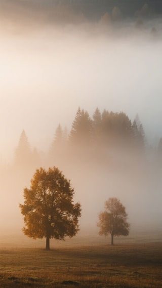 风景