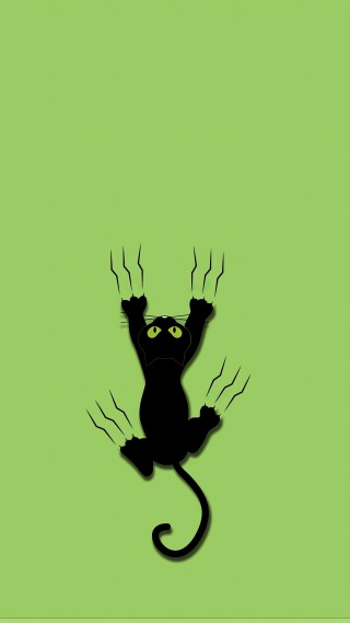 猫咪