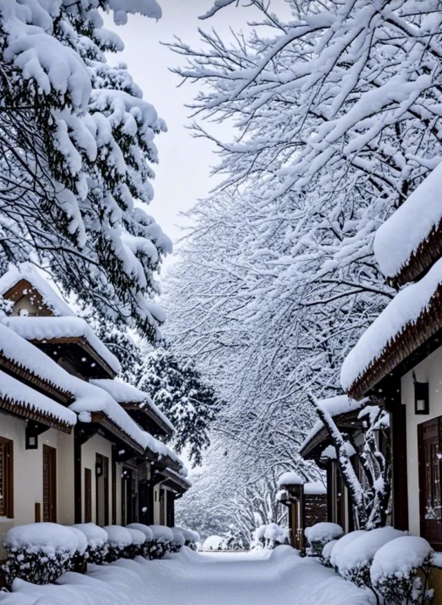 雪景