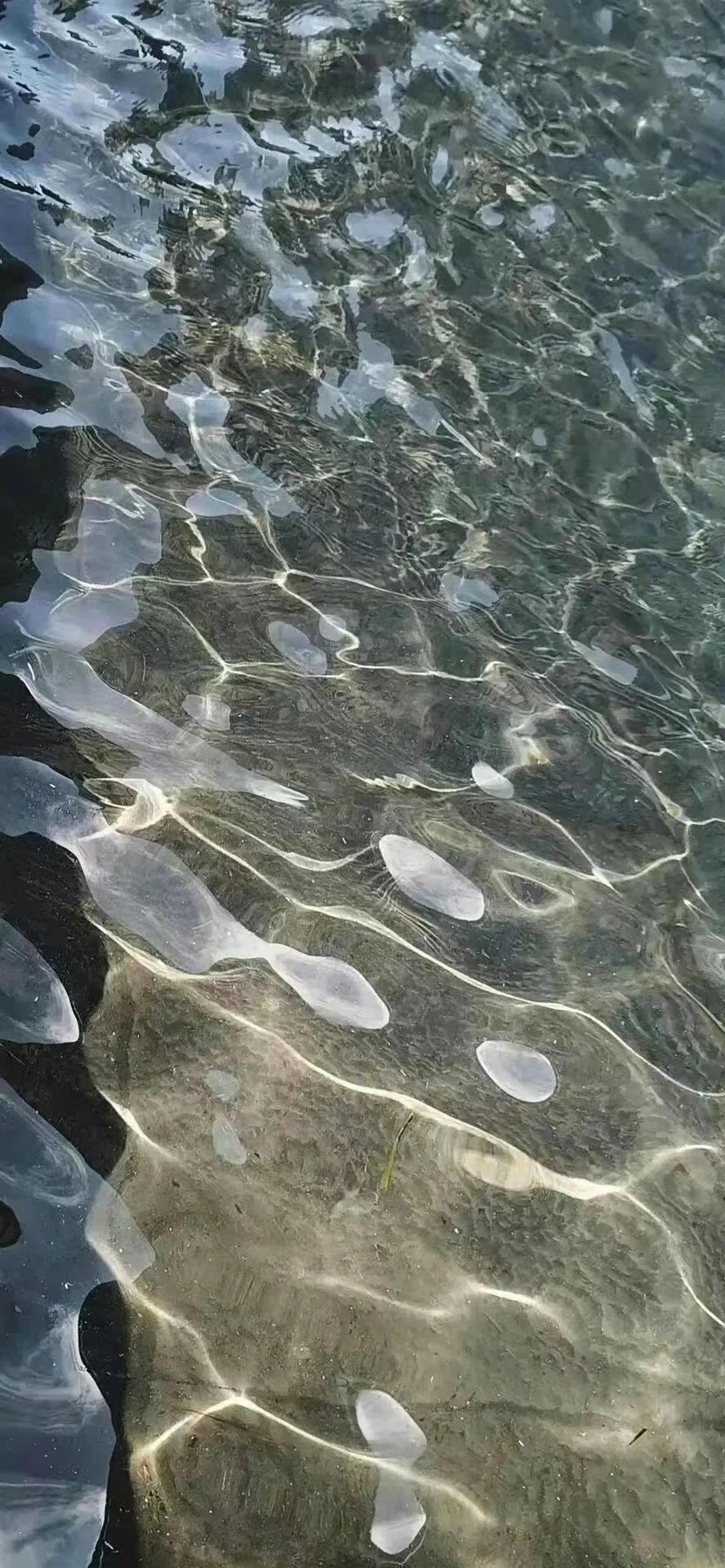 水面