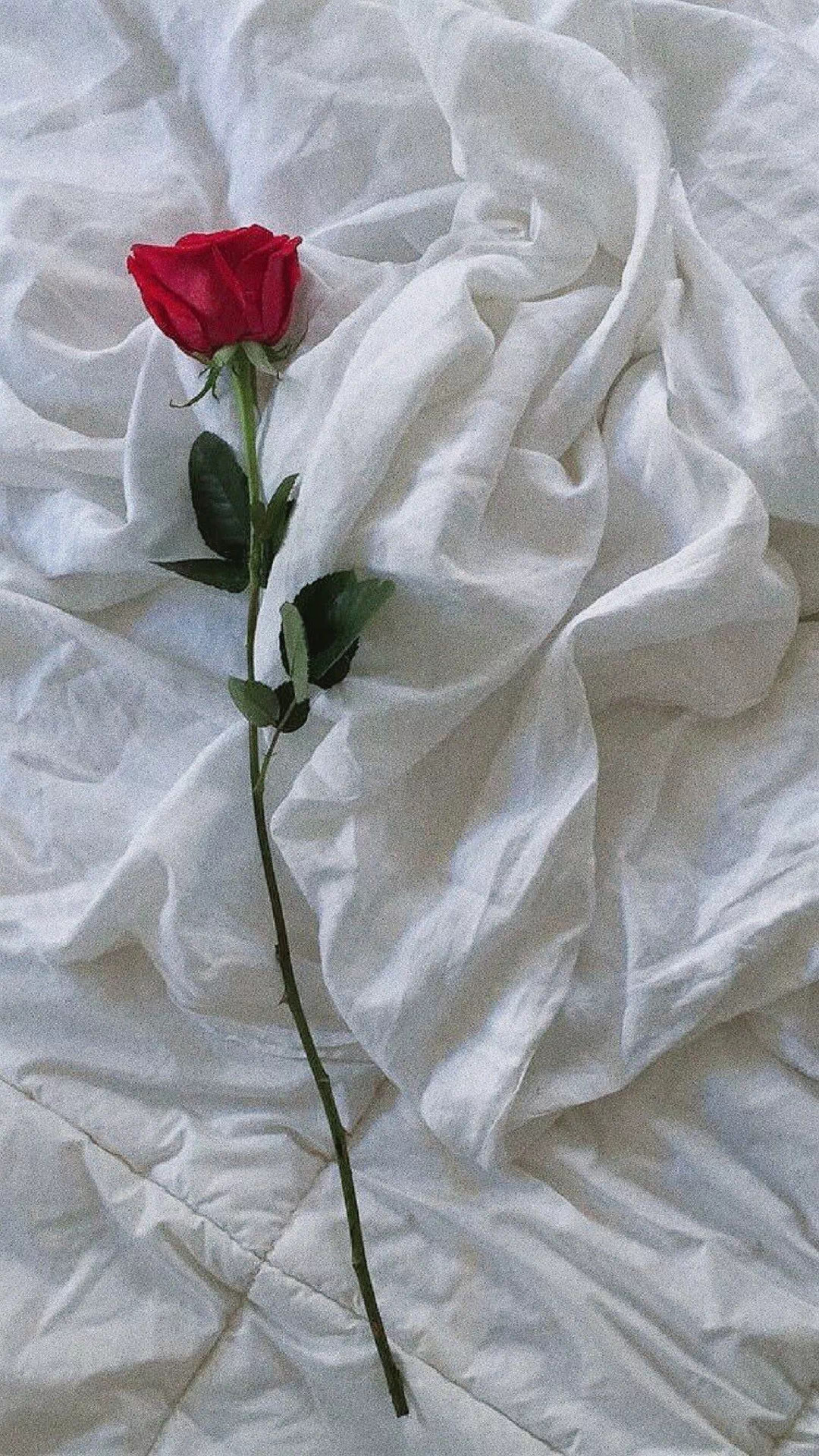 精品壁纸