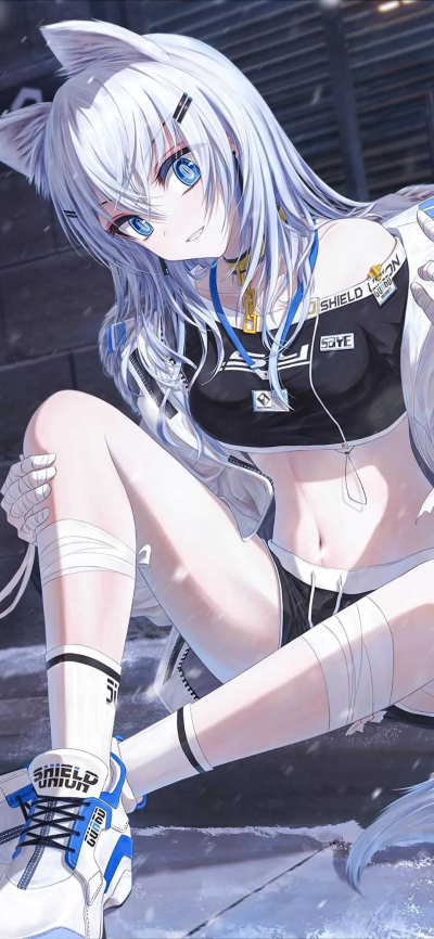 貓耳少女
微信主題背景