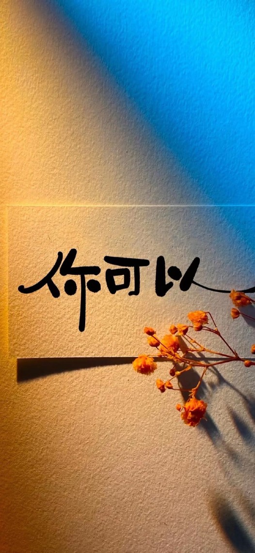 你可以
