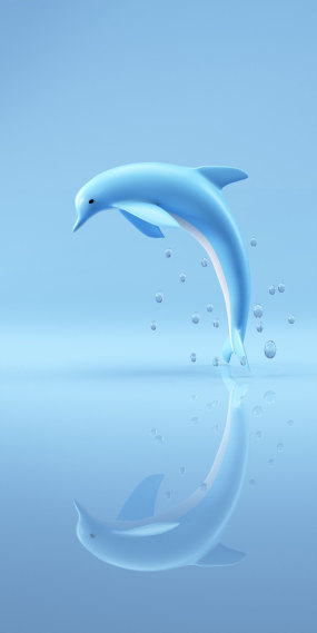 海豚倒影