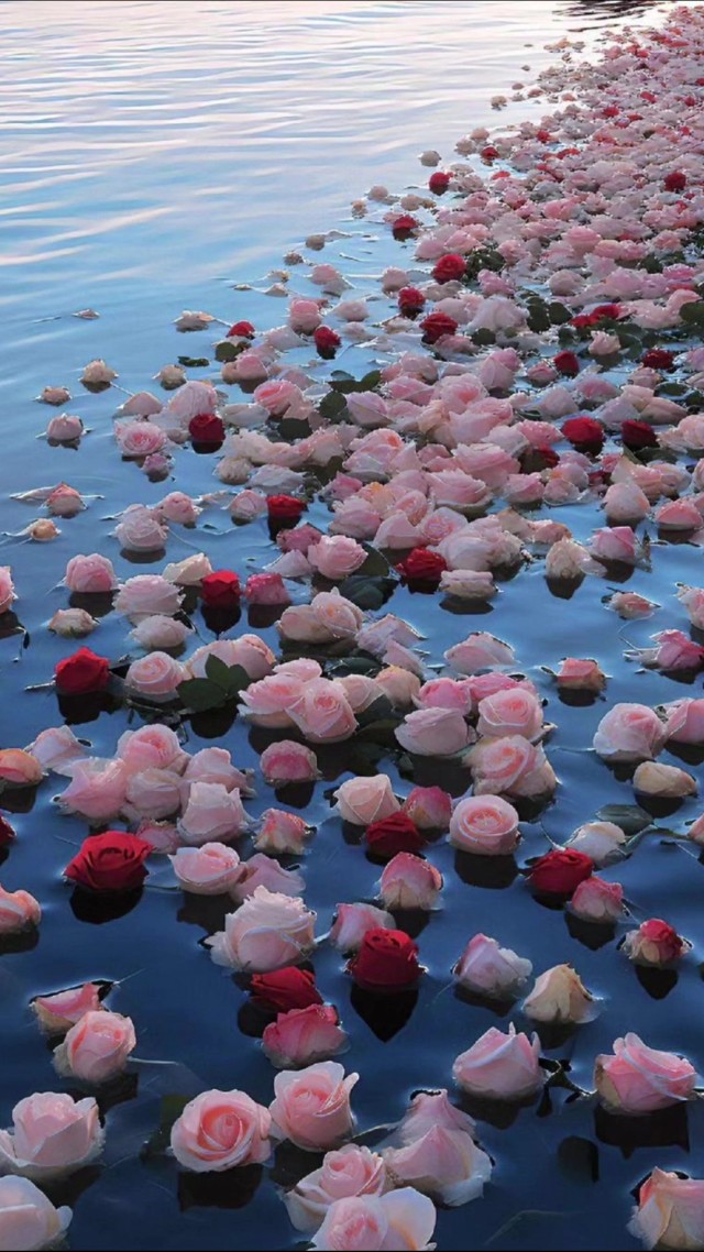 花河