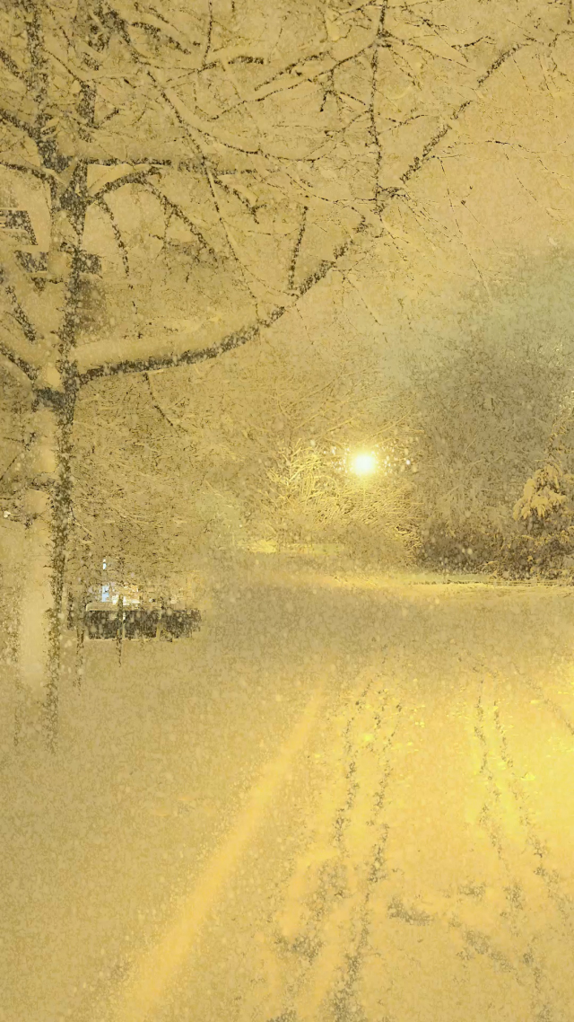 凌晨治愈雪景