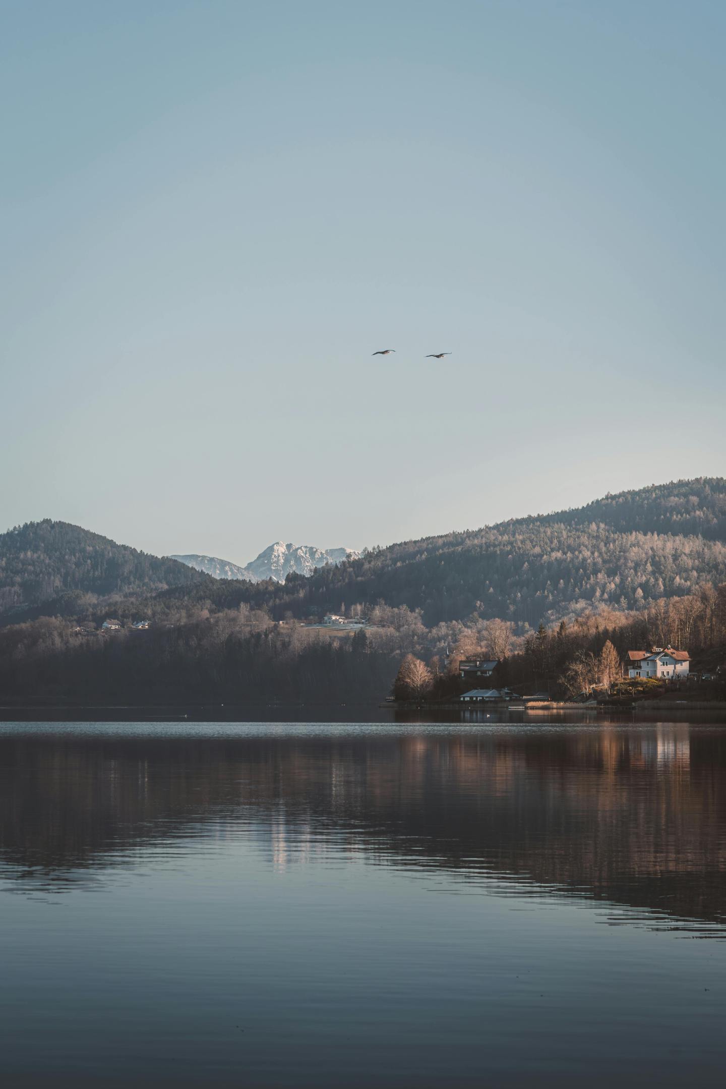 山水風景