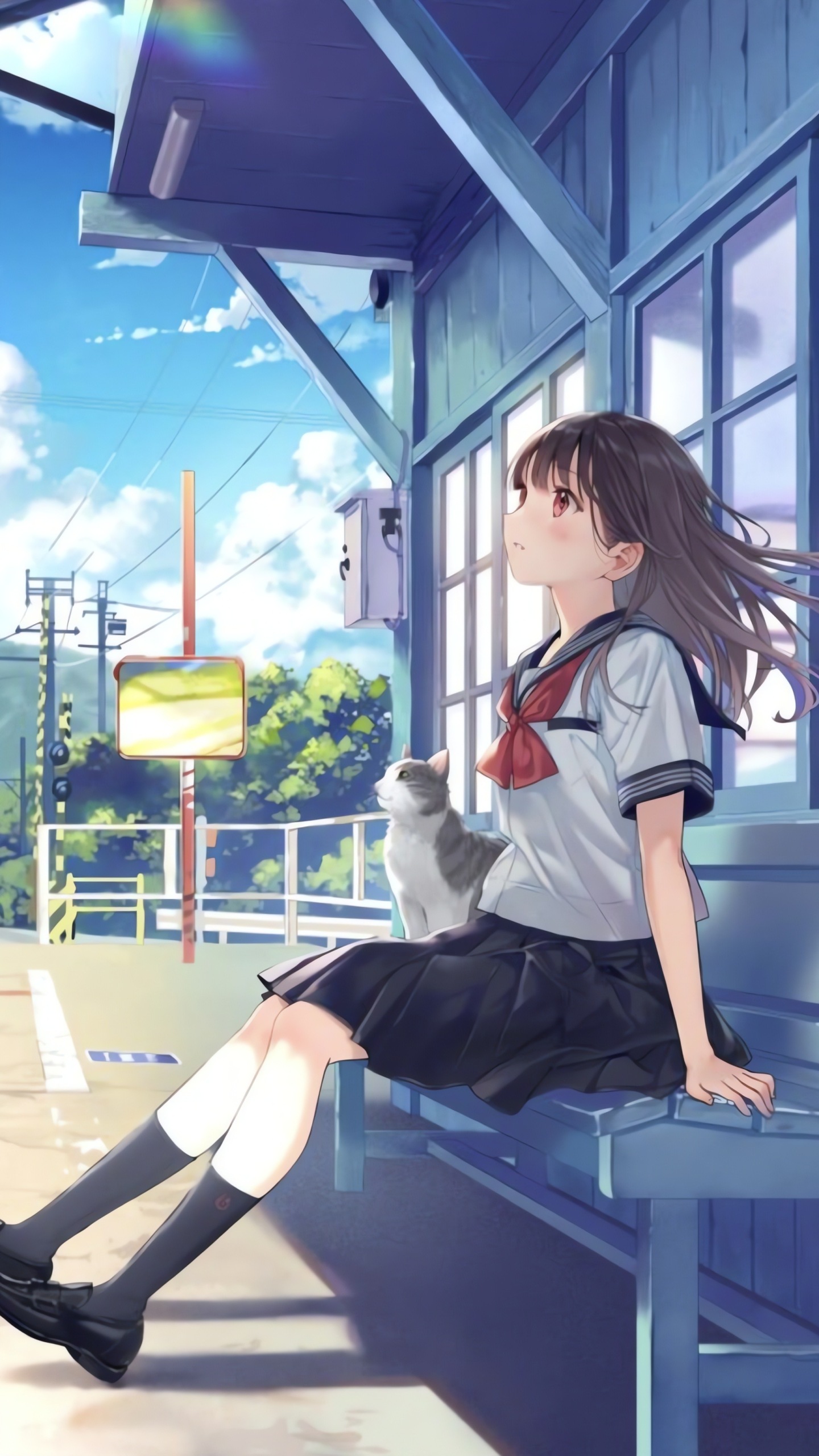美少女與小貓咪
