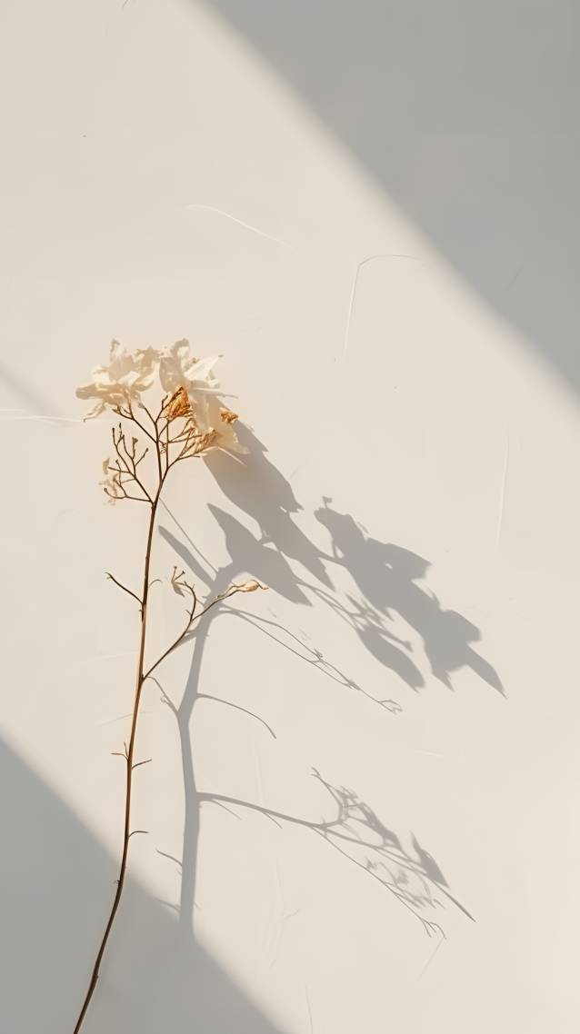 窗影小花