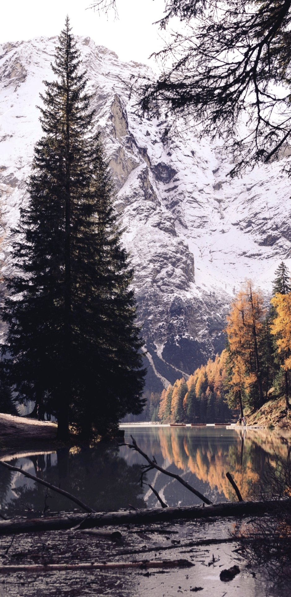 山水风景