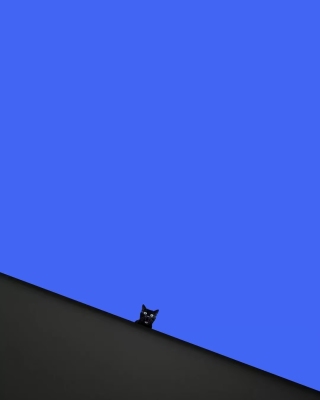 黑猫