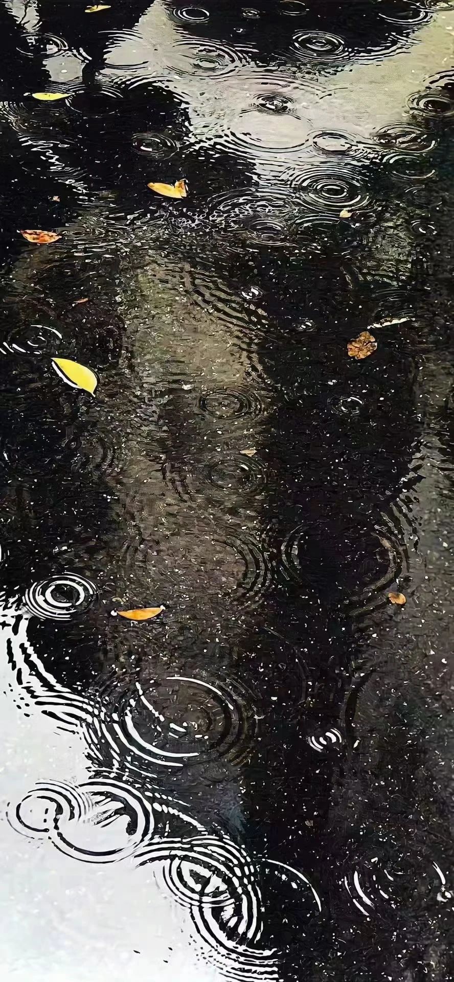 水滴