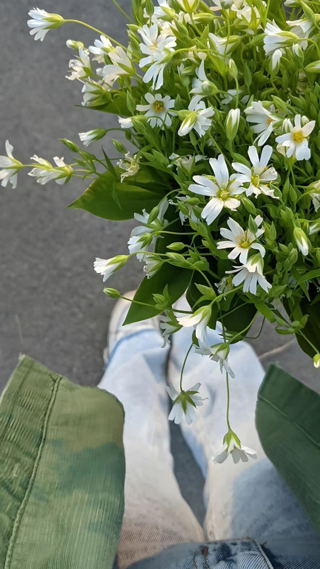 鮮花與牛仔褲
青春的氣息