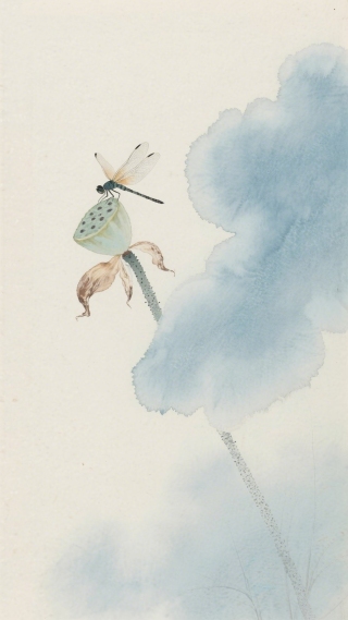 蜻蜓