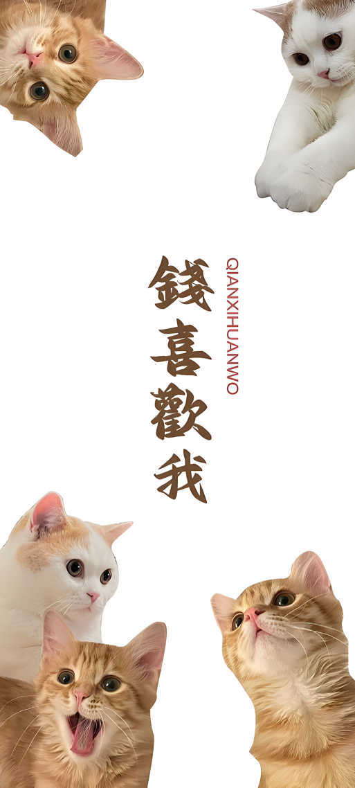 钱喜欢我