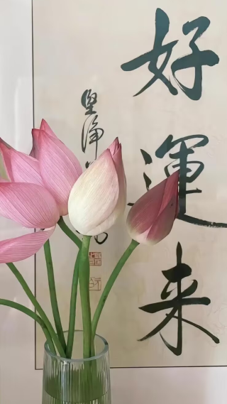 好运莲