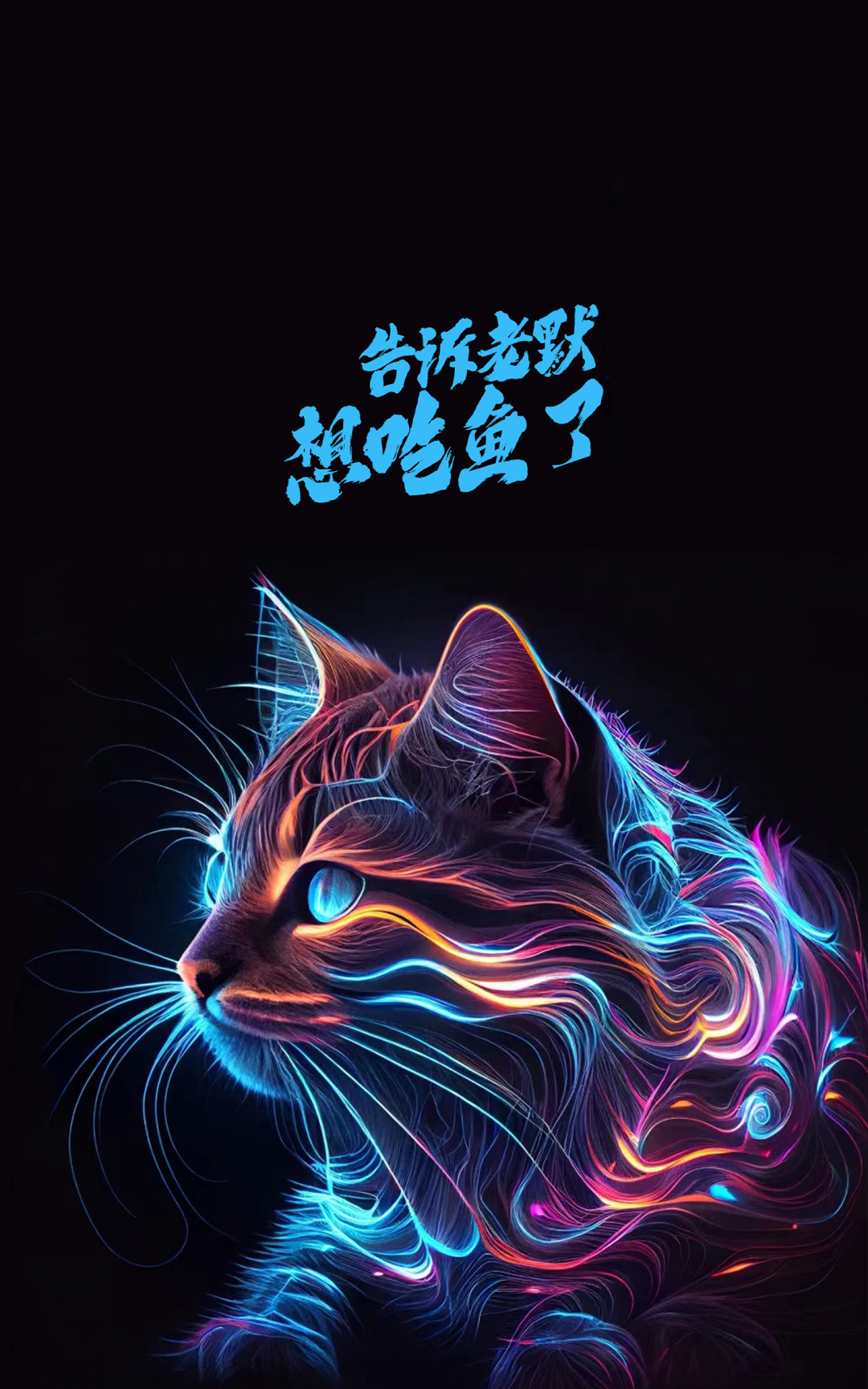酷炫 治愈猫咪