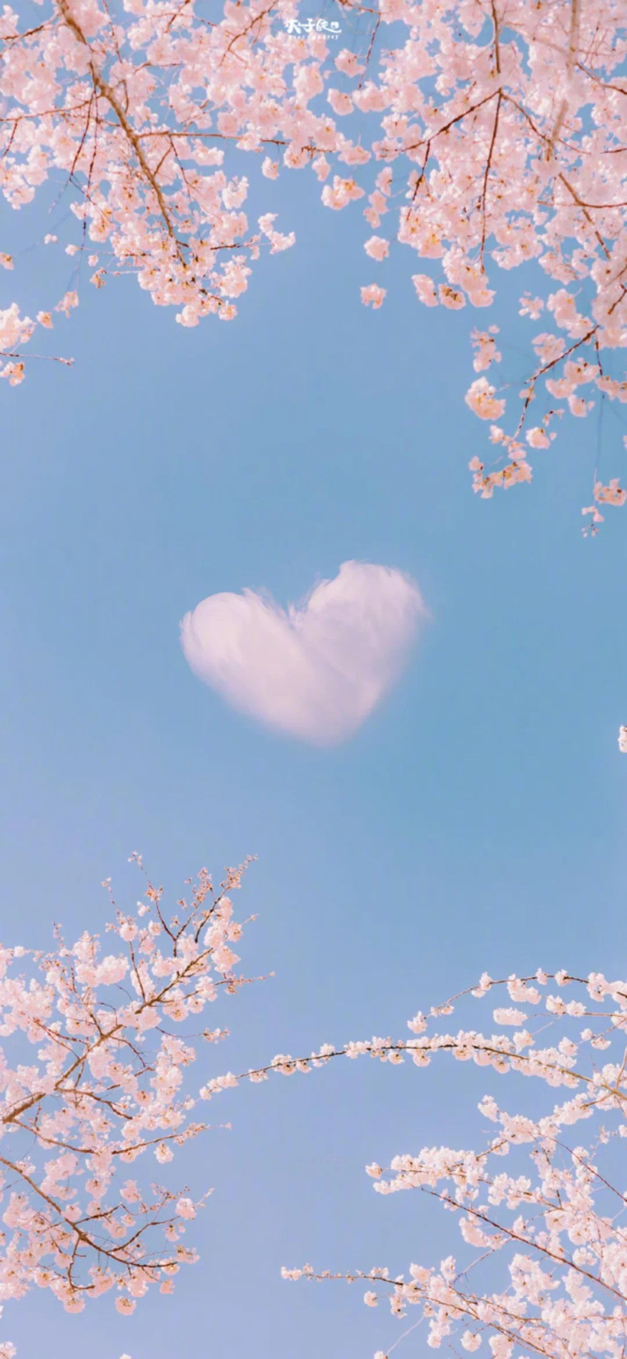 愛你的心