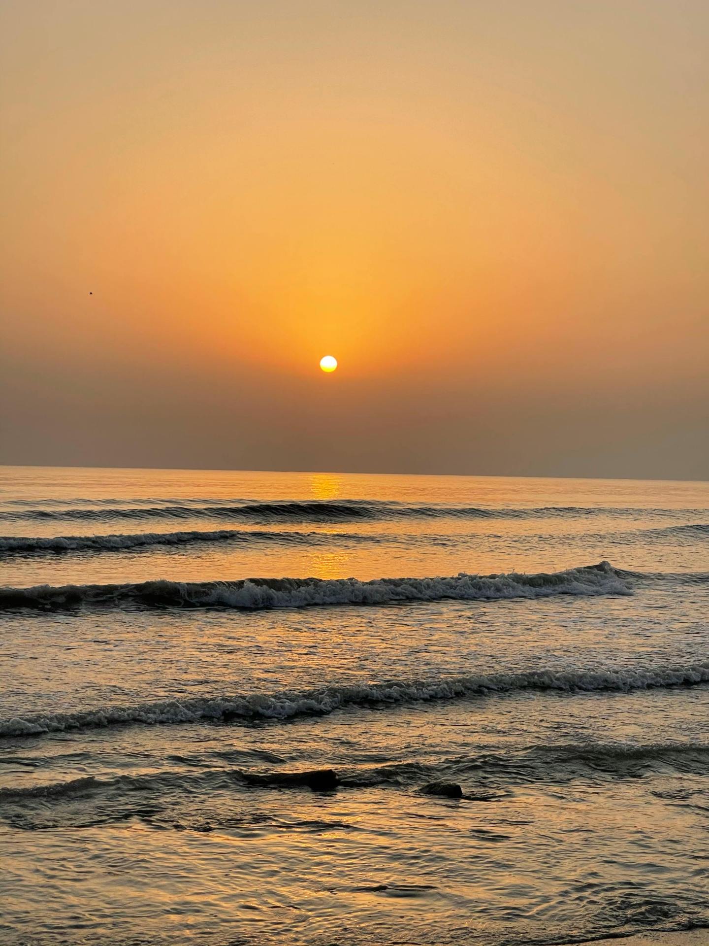 夕阳