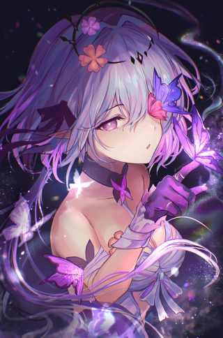 遐蝶