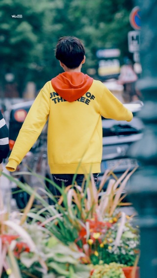 王俊凯/元气