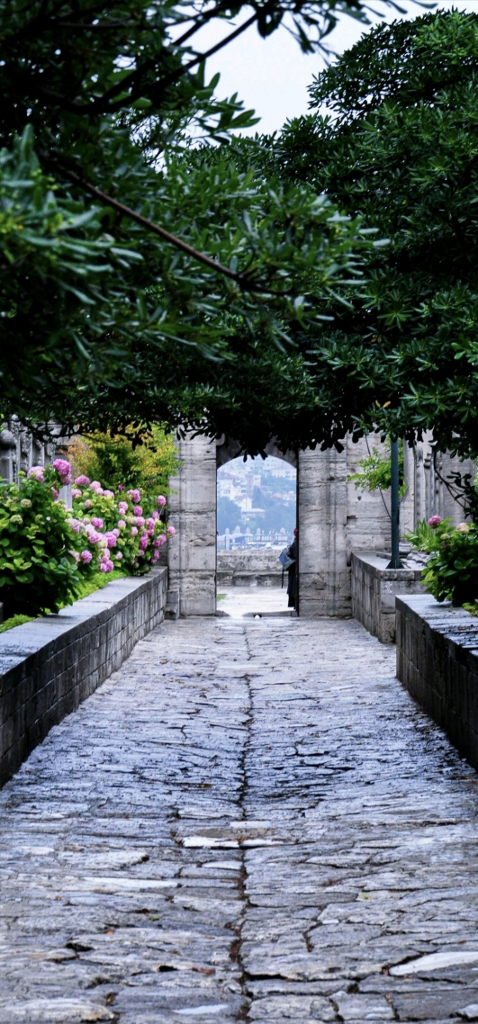 自然景观