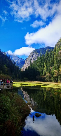 治愈美景