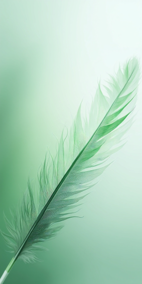 一根羽毛
