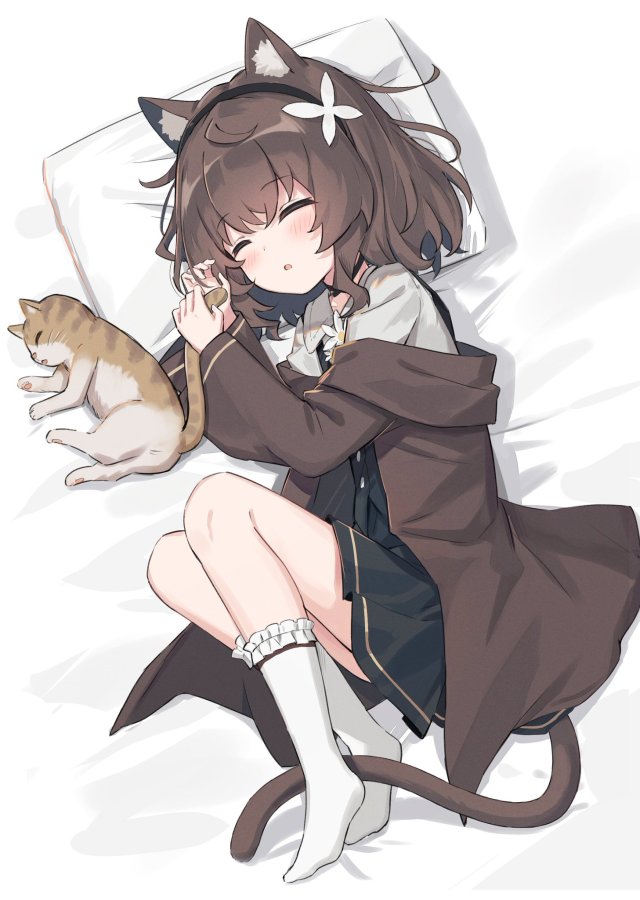 猫猫