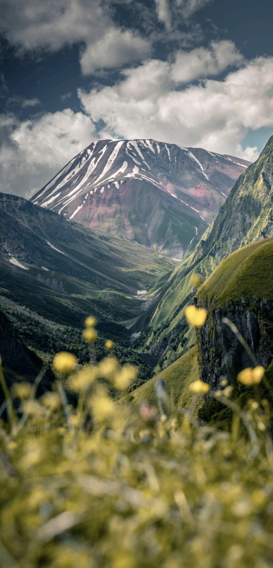 自然风景