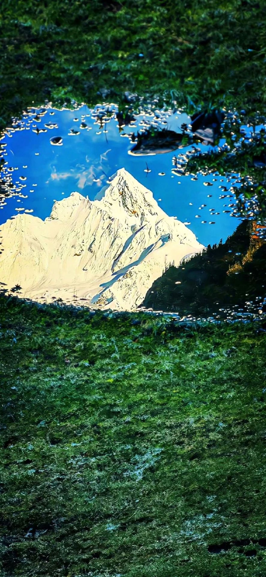 高山