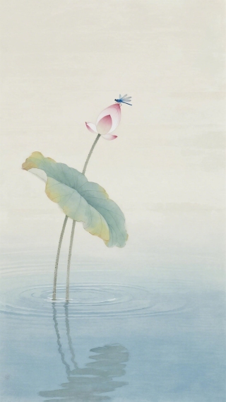 蜻蜓