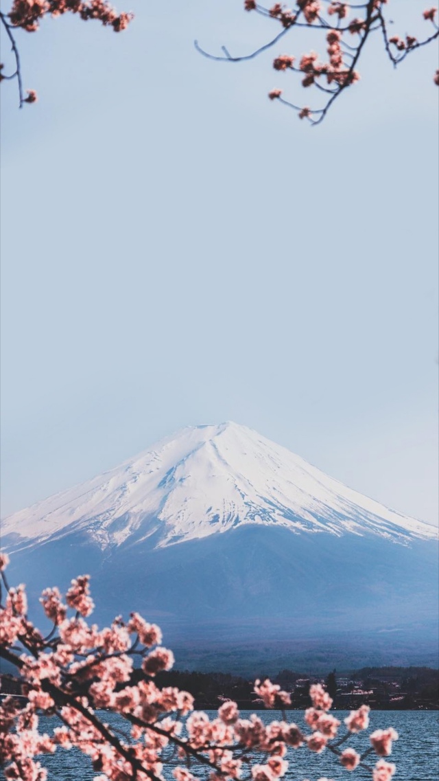 富士山