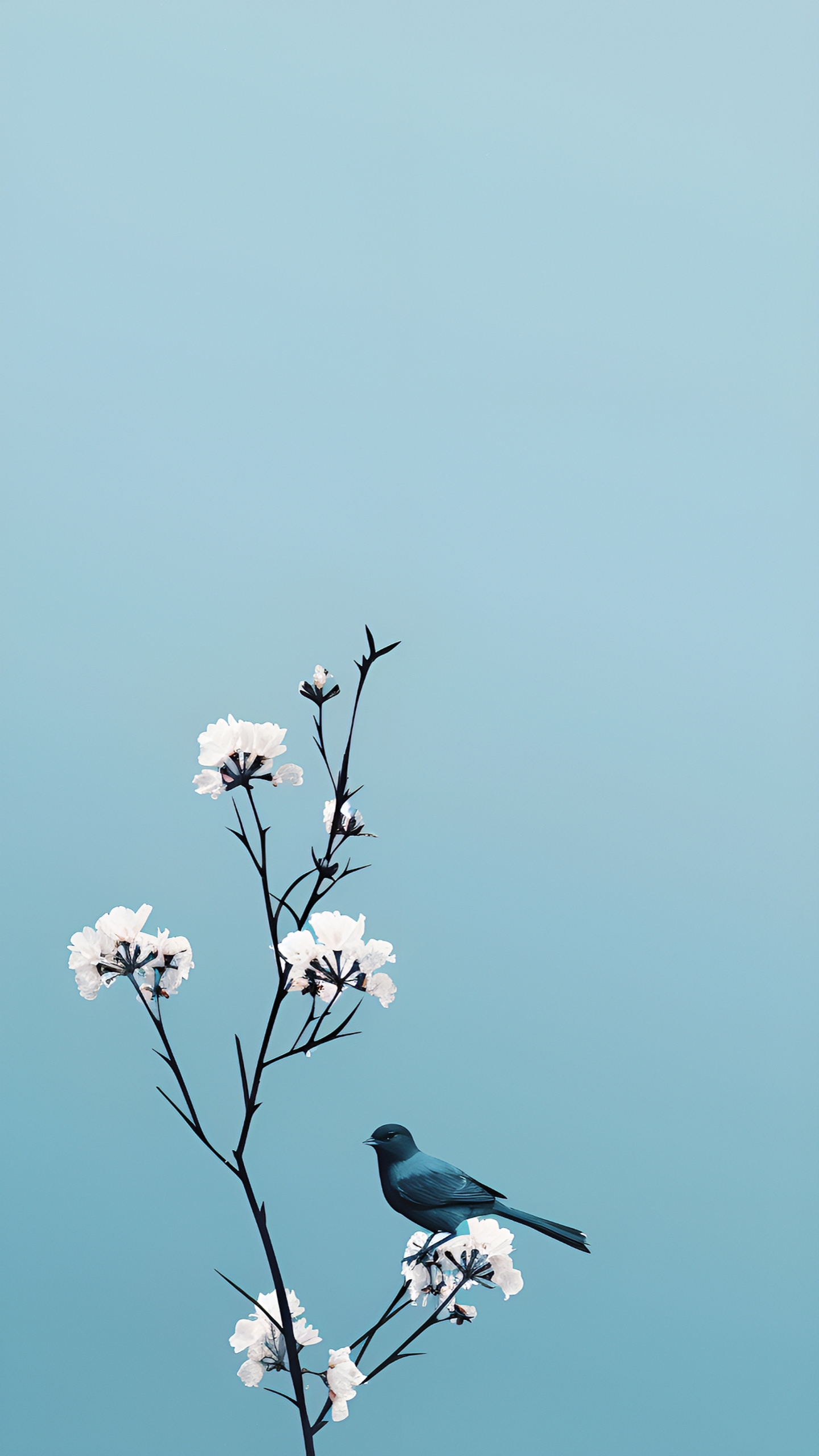 境