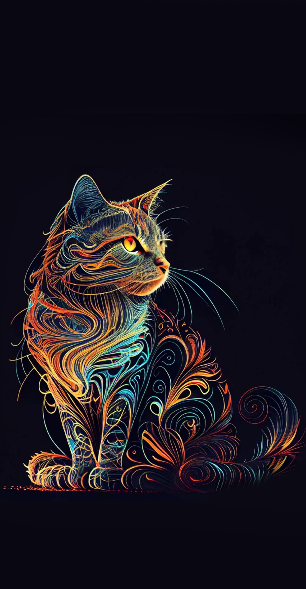 可爱猫咪