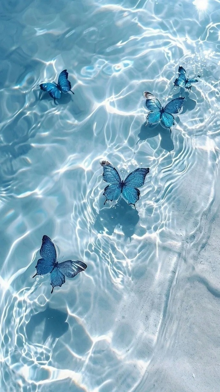 流水蝴蝶