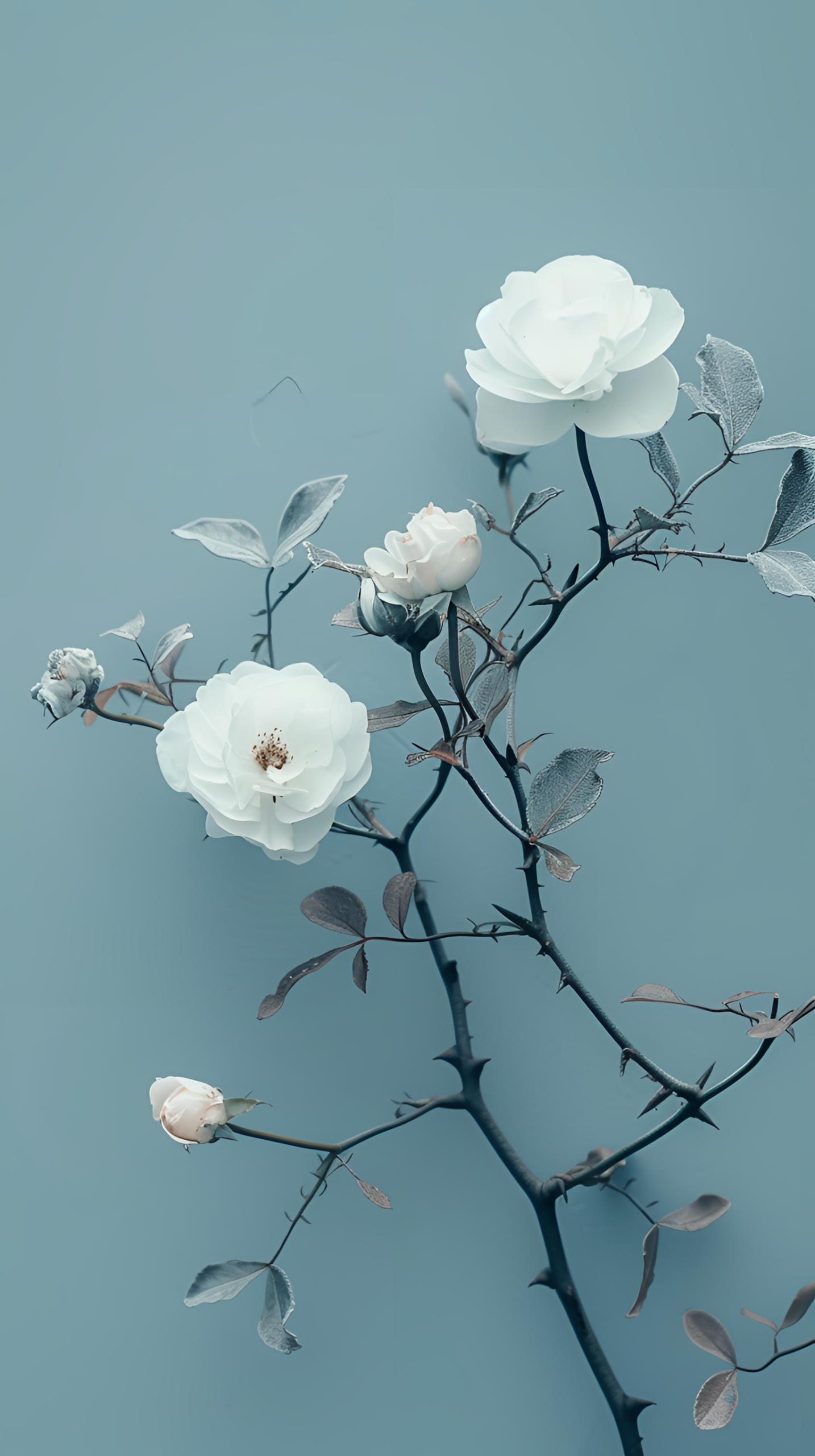 清新小花